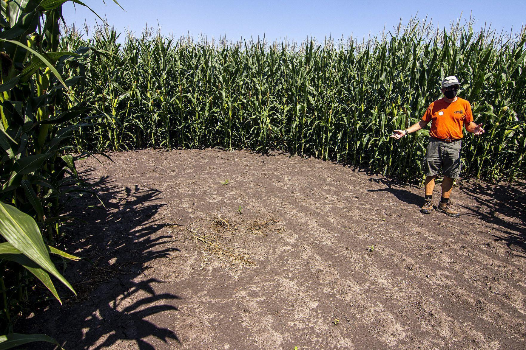 farm focus watch now ripe for pickin pumpkin patches plan for fall season agriculture herald review com pumpkin patches plan for fall season