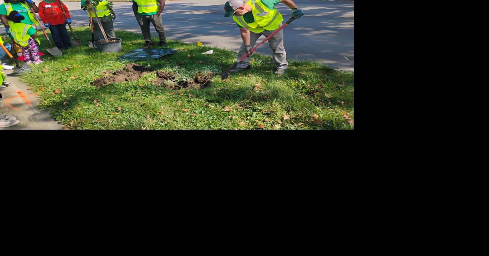 Ameren volunteers plant 100 trees to improve energy efficiency in Decatur