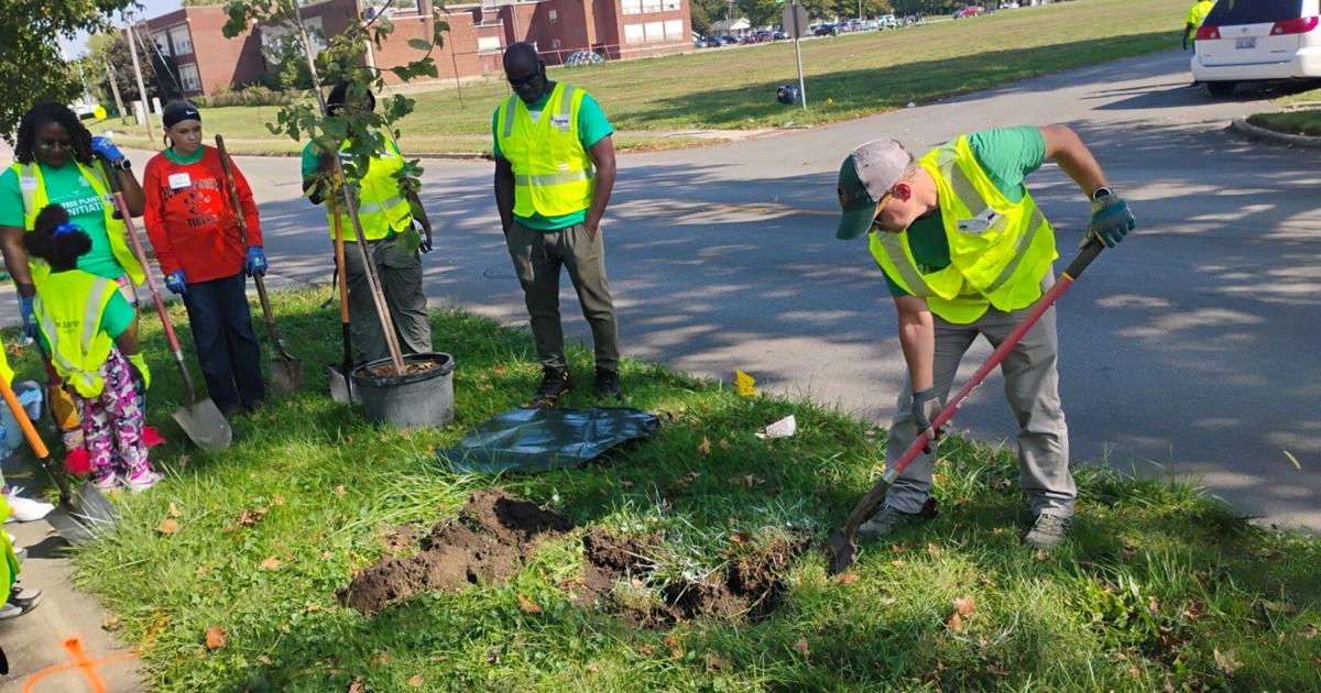 Ameren volunteers plant 100 trees to improve energy efficiency in Decatur