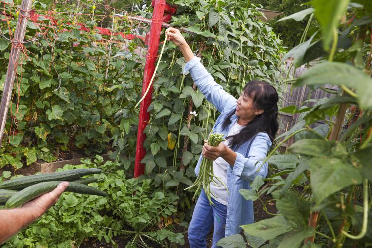 072523-dec-loc-gardens_04.JPG