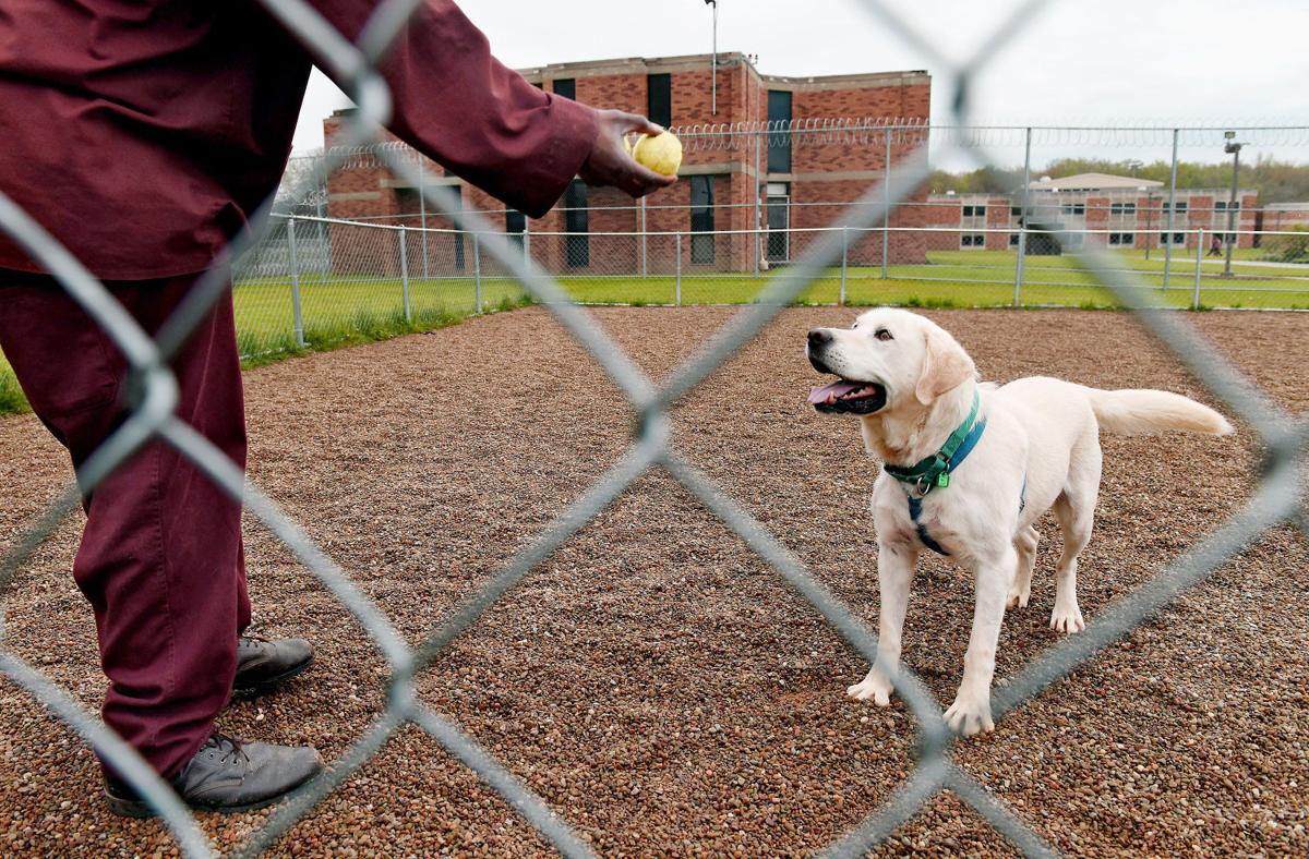 Program aids dogs and inmates Pets