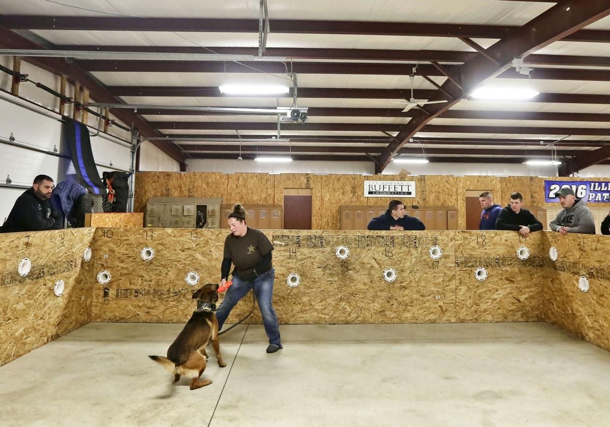 If Illinois Legalizes Marijuana What Happens To Pot Sniffing Dogs The Answer Is Unclear Public Safety Herald Review Com