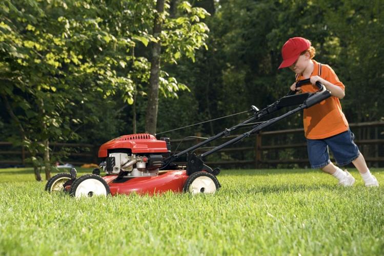 Lawn maintenance and repair