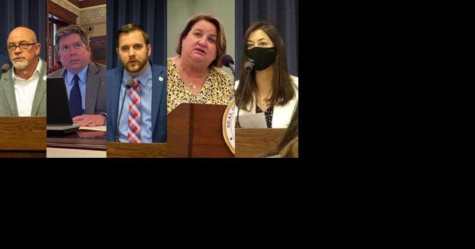 Major fundraising underdogs among challengers to unseat Illinois incumbents - Vimarsana News