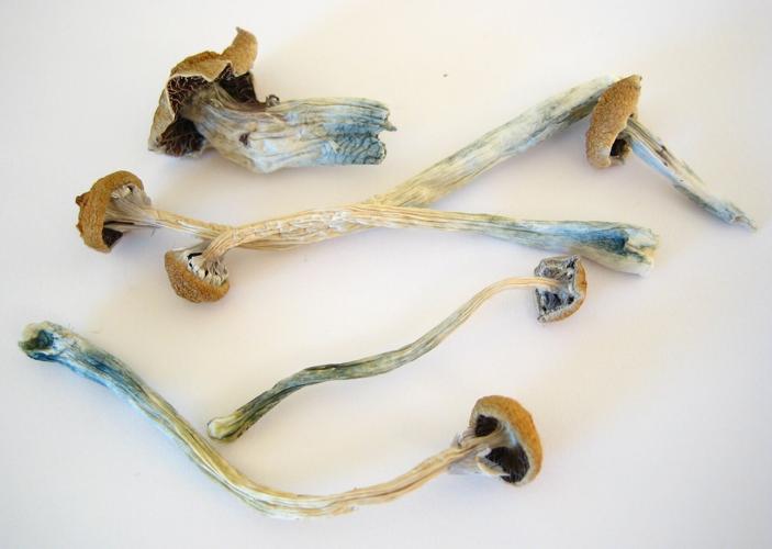 Study: Millions in the US report past-year psilocybin use