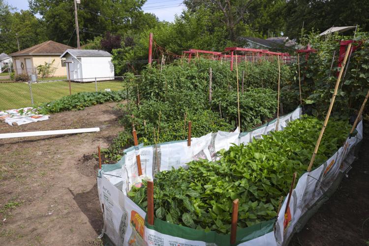 072523-dec-loc-gardens_06.JPG