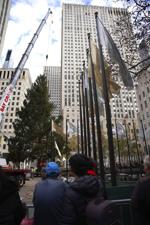 Rockefeller Center Tree