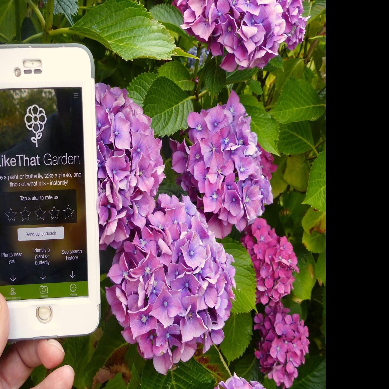 Top Gardening Apps Tested And Recommended By The Experts Home Garden Herald Review Com