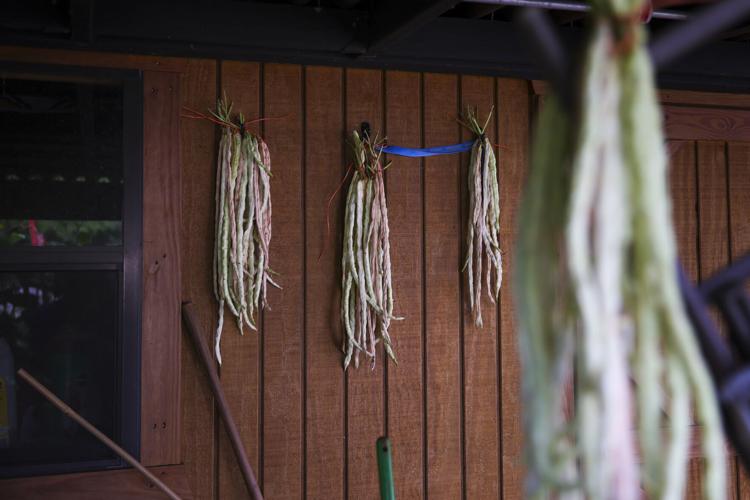 072523-dec-loc-gardens_07.JPG
