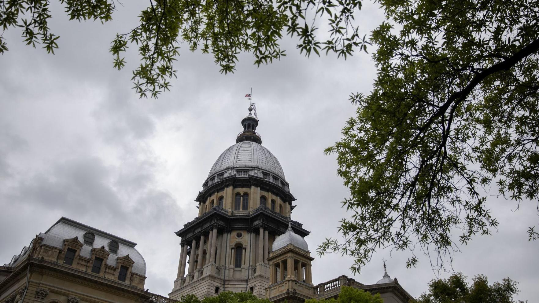 Black history education in Illinois schools could soon expand. Here's what to know - Vimarsana News