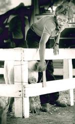 Grand champion barrow