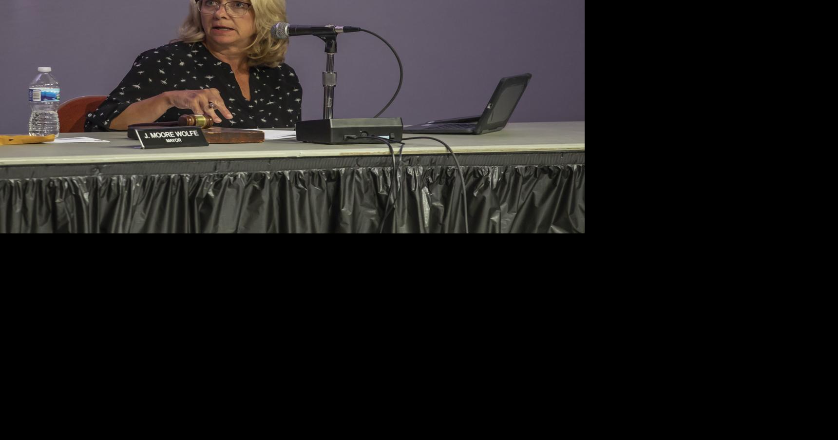 Decatur council hears ideas for revising minority business enterprise ...