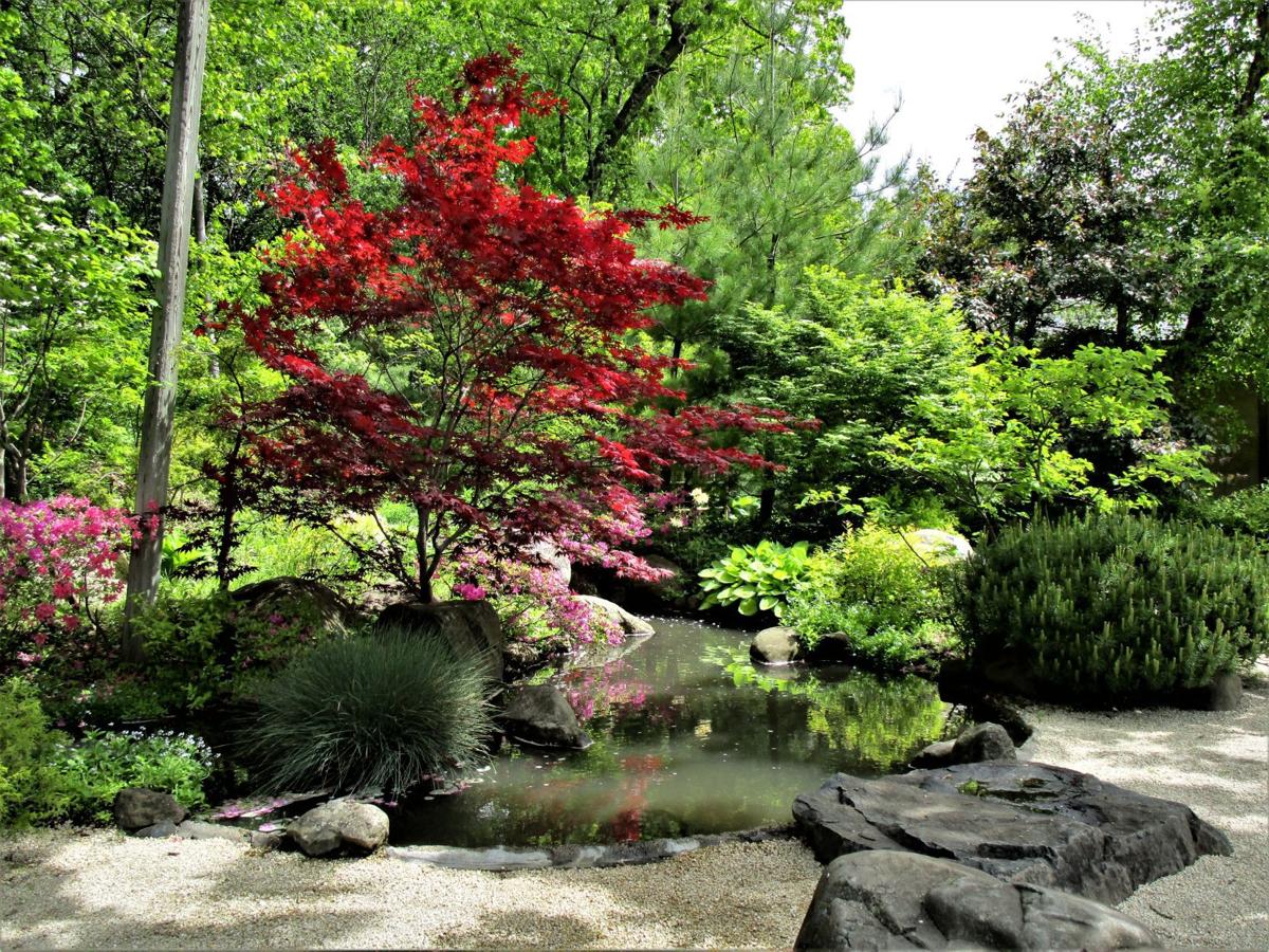 Churchill Japanese Gardens Offer Extraordinary Escape Theresa