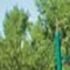 Circuit Training Equipment Added To Fairview Park Allows Runners
