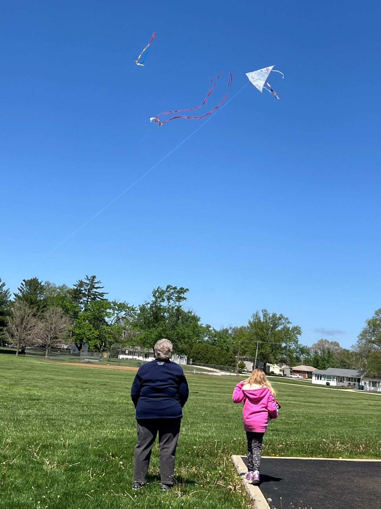 kite day