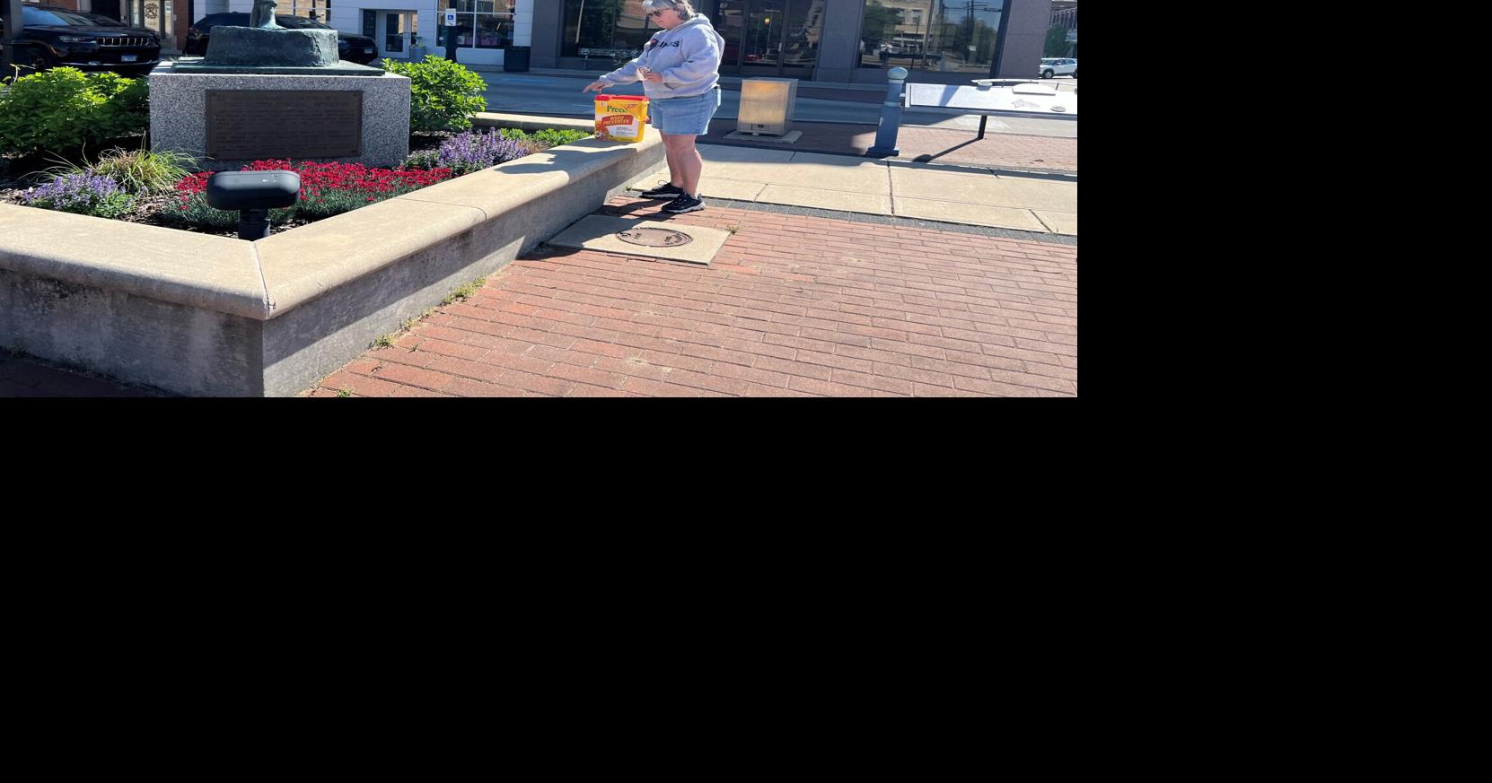 Plants set to take root in downtown Decatur