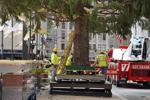 Rockefeller Center Tree