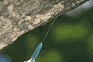 Tree Injection