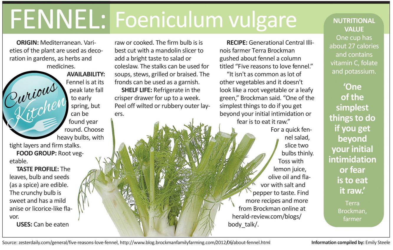 A fennel convert