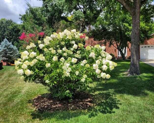 Nominations Are Now Open for 2026 Green Thumb Awards
