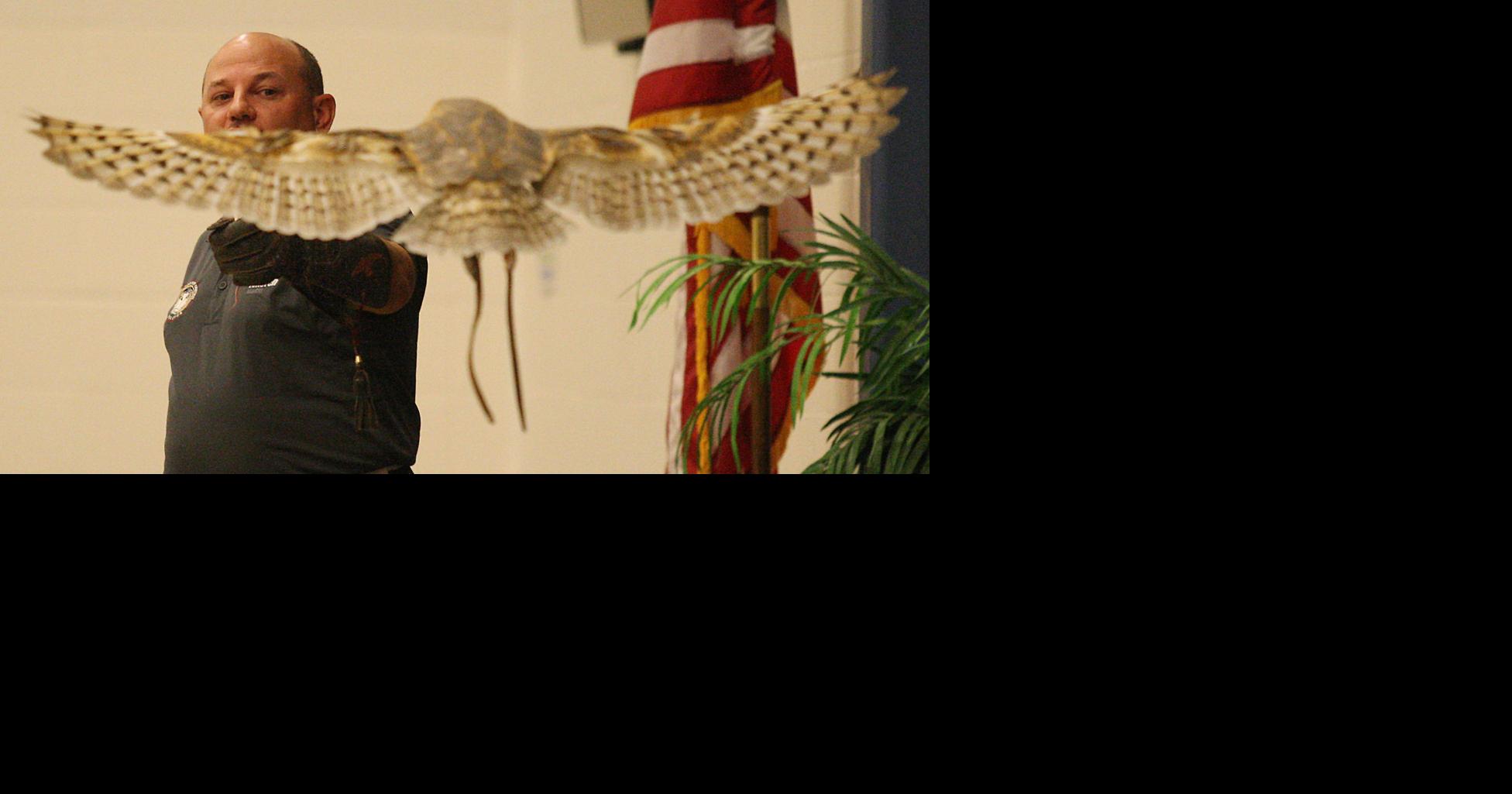 Ameren and Illinois Raptor Center team up for the birds