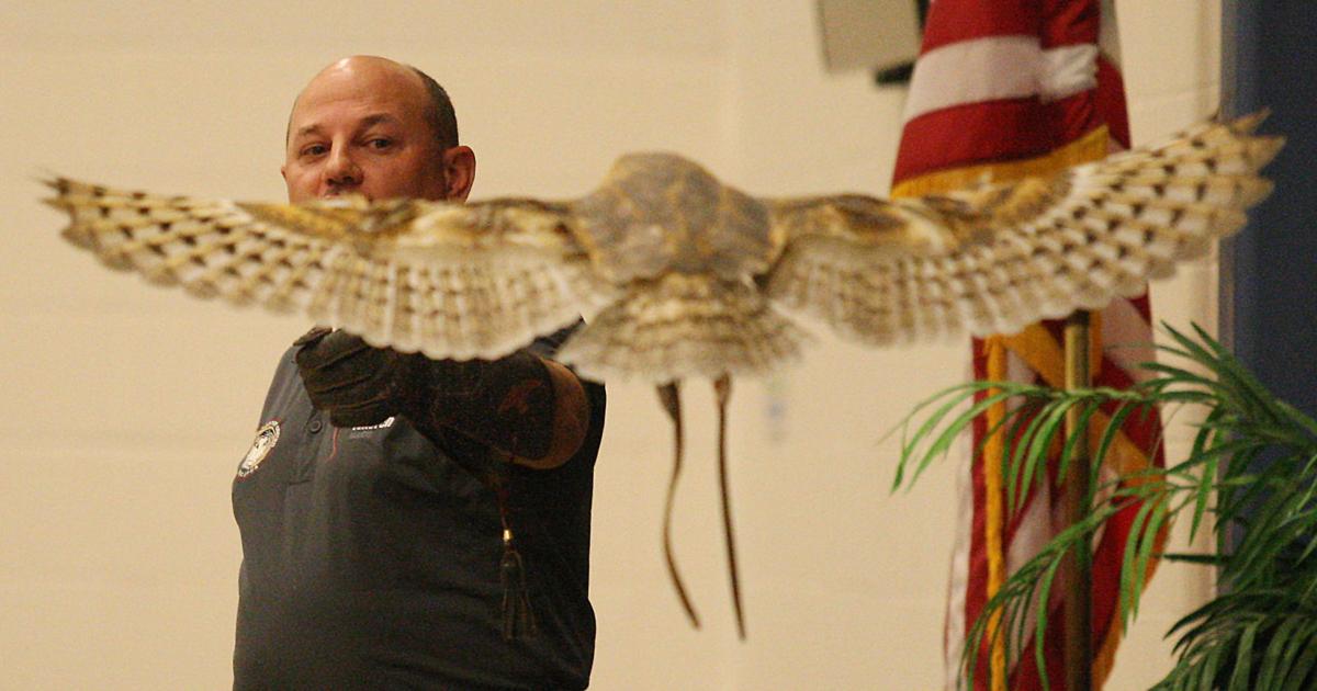 Illinois Raptor Center Decatur Il Ameren and Illinois Raptor Center team up for the birds