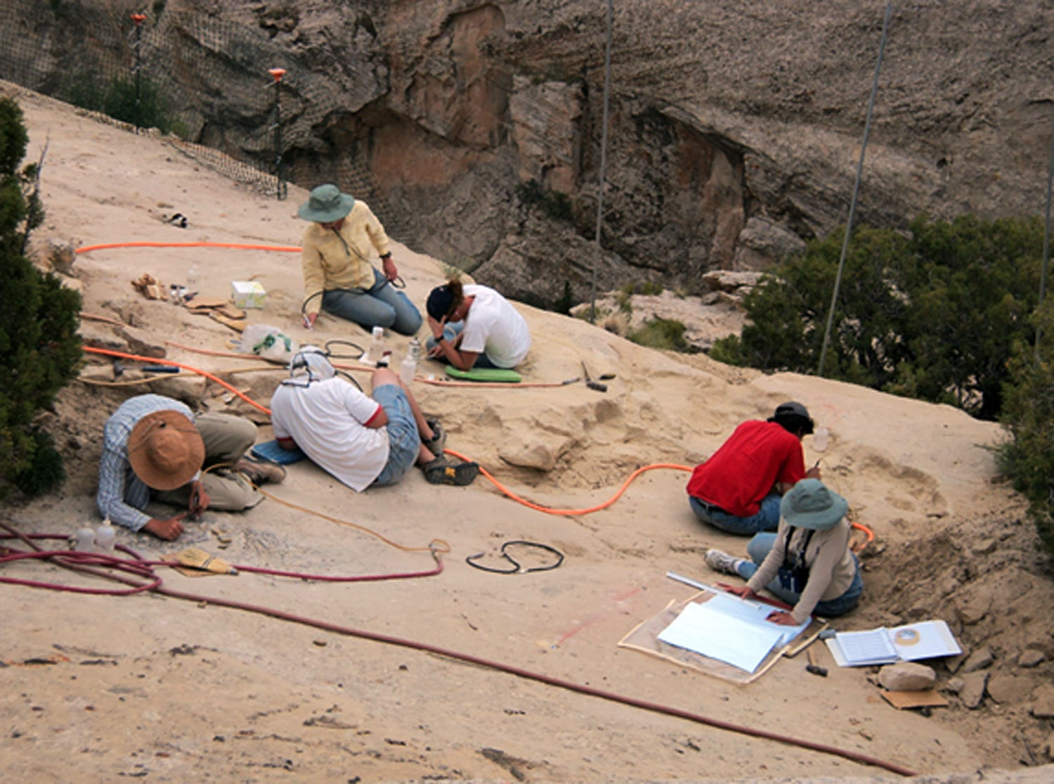 Paleontologists discover Utah cliff full of fossils