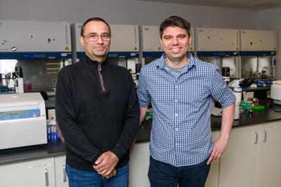 Genetic base editing treats Huntington’s disease in mice