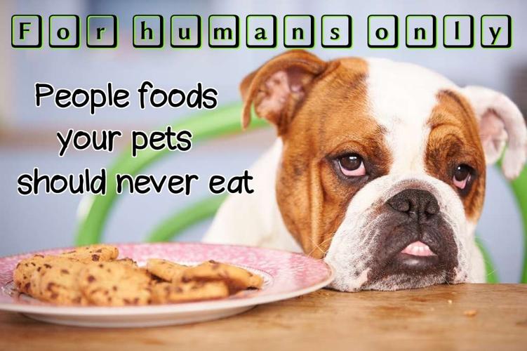 For humans only