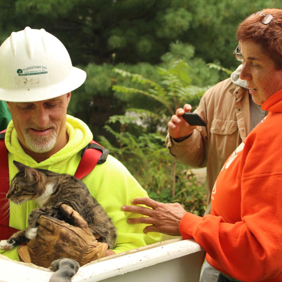After Days In A Tree Lucky Cat Gets Professional Rescue Local