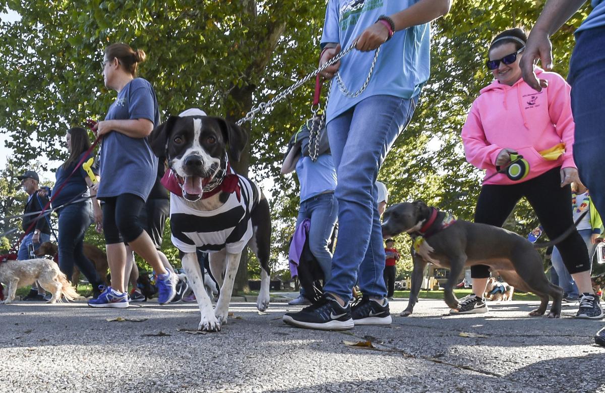 decgal fido5k 13 082817.JPG