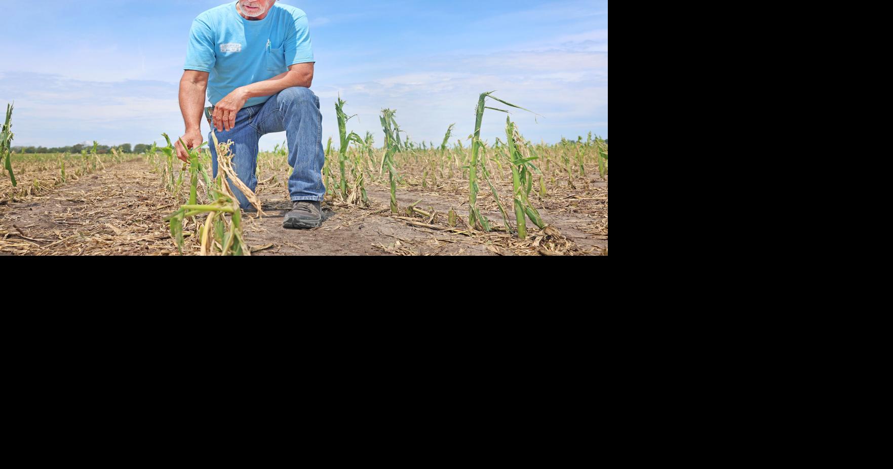 Mother Nature putting area farmers to the test