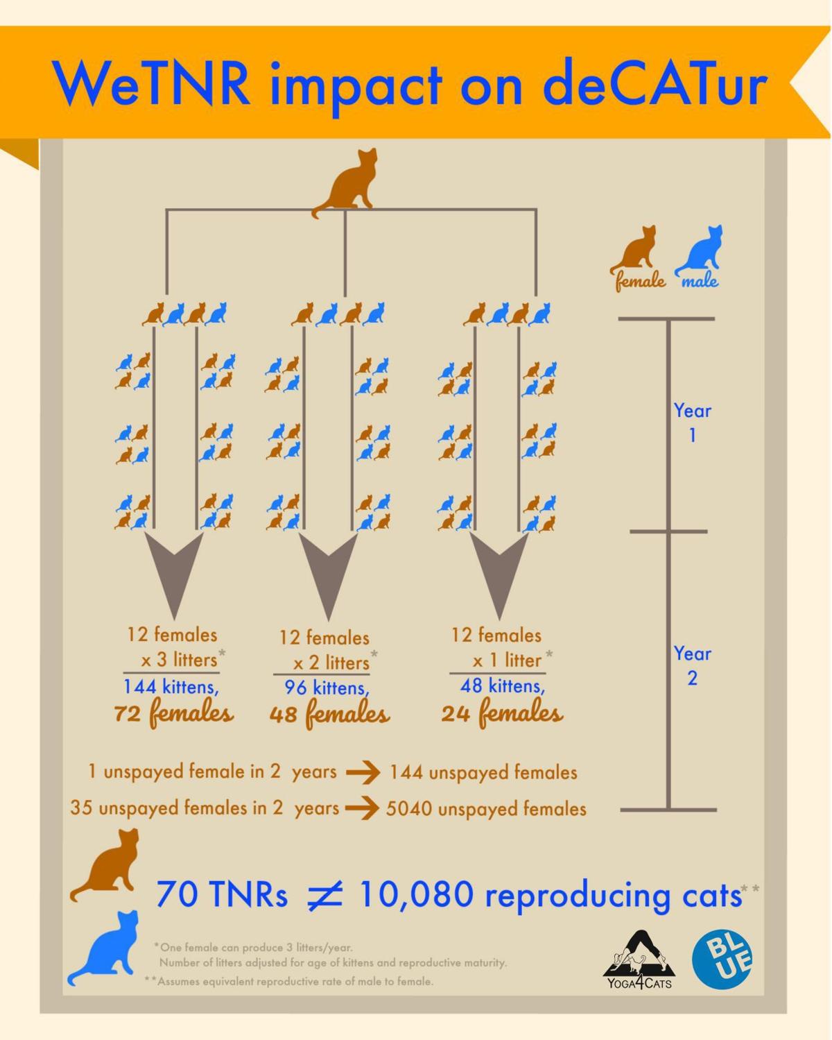 New law benefits trap/neuter/vaccinate/return programs for feral cats