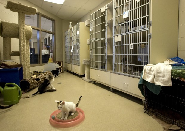 animal control center