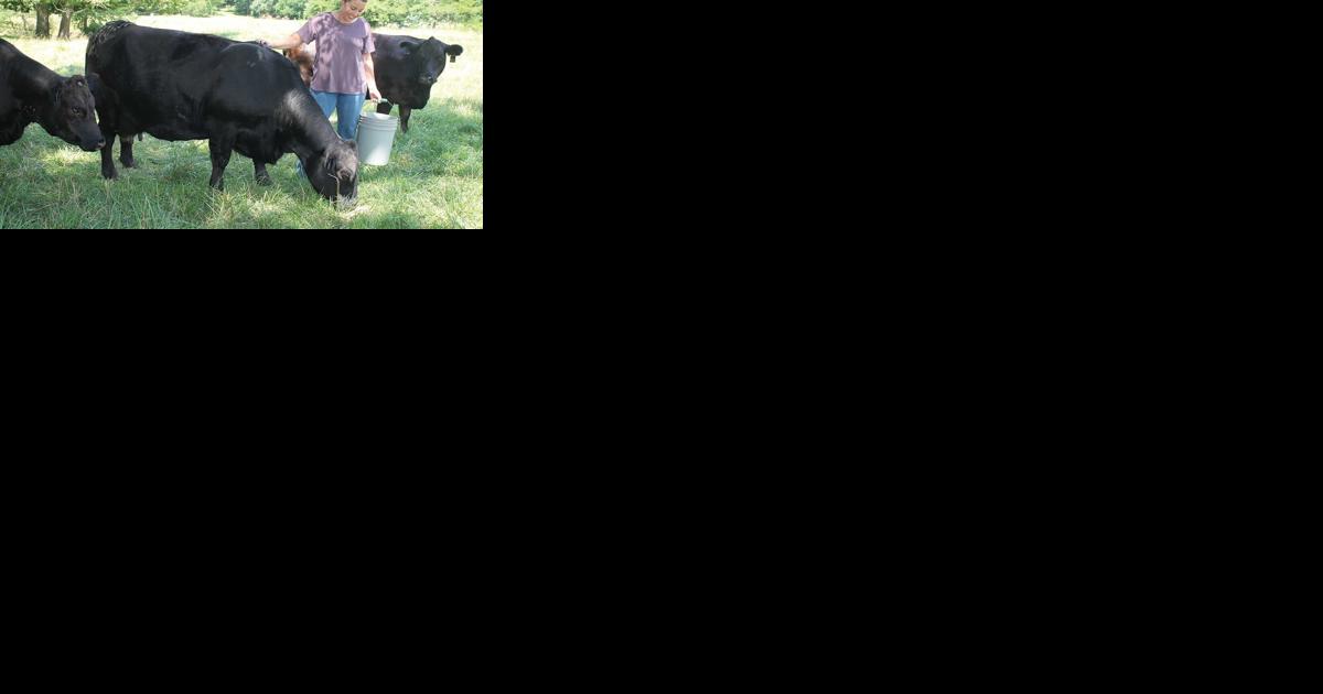 Young Central Illinois farmers rely on tech, communication and core values - Vimarsana News