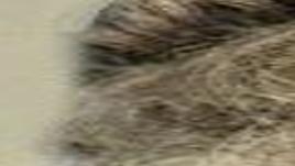 Beulah Cox Obituaries Herald Review Com