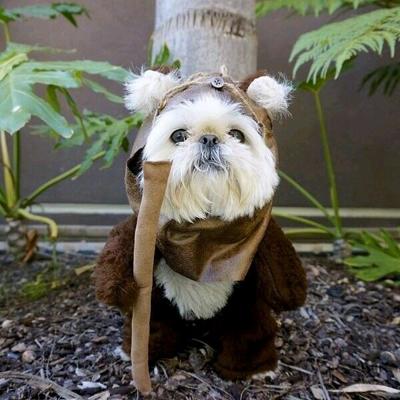 12 star wars pet costumes