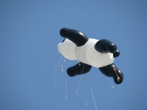 Celebration Memories The Runaway Panda Tim Cain S Blog Herald Review Com