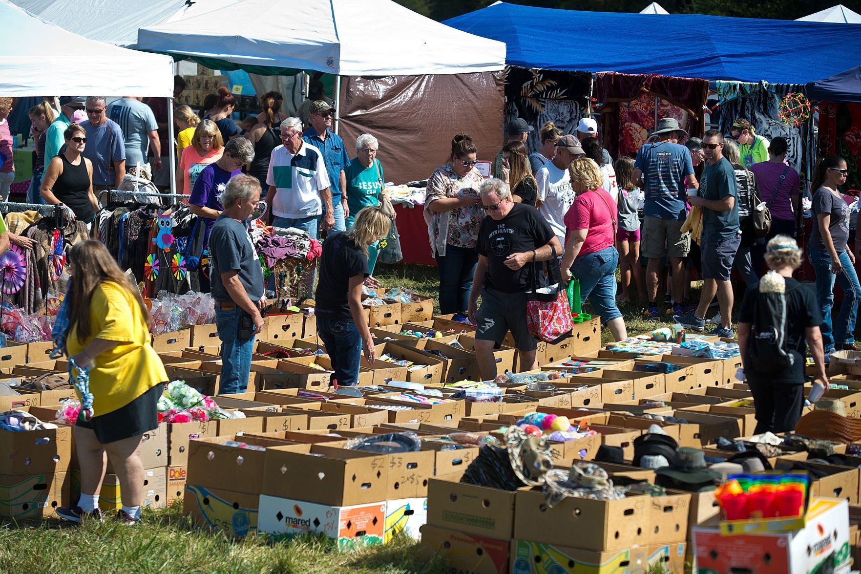 Photos Apple N Pork Festival In Clinton Opens For Weekend Local   5f2a089116626.image 