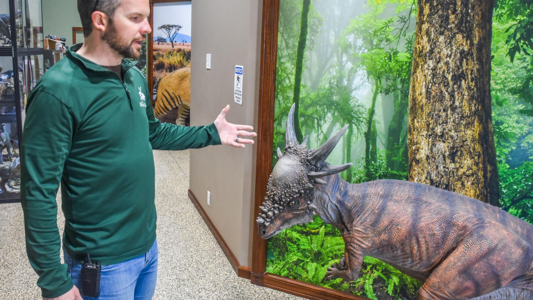 Watch now: Arcola-area Museum of Prehistoric Life comes to life - Vimarsana News