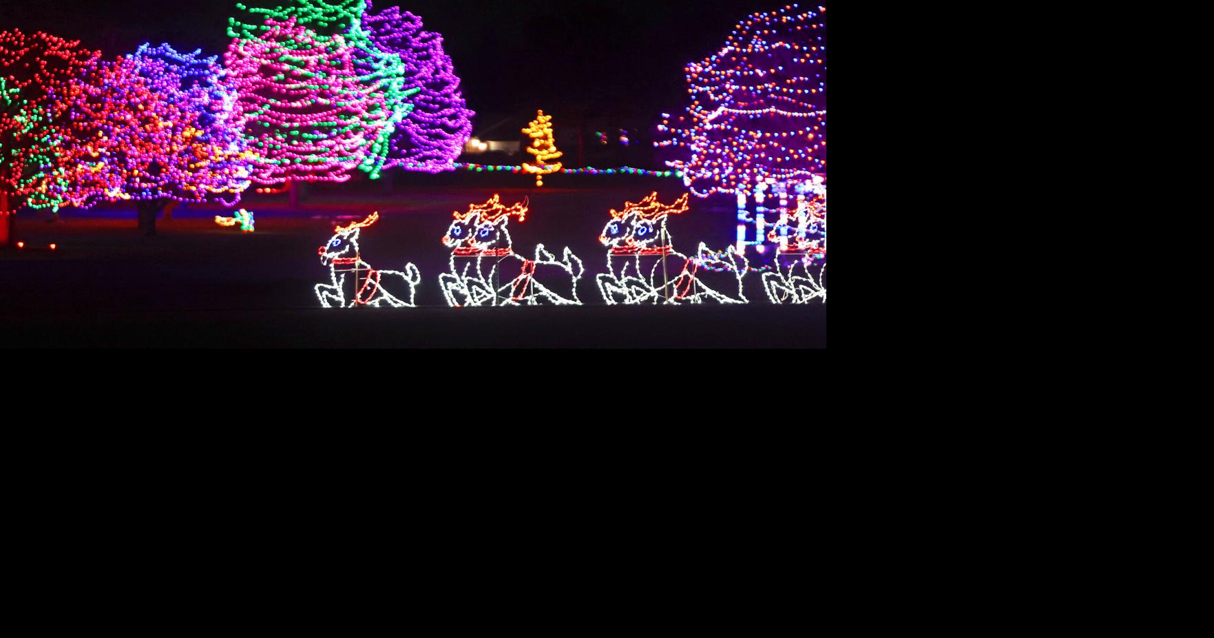 Decatur Park District's Trees on the Tees lights up Christmas