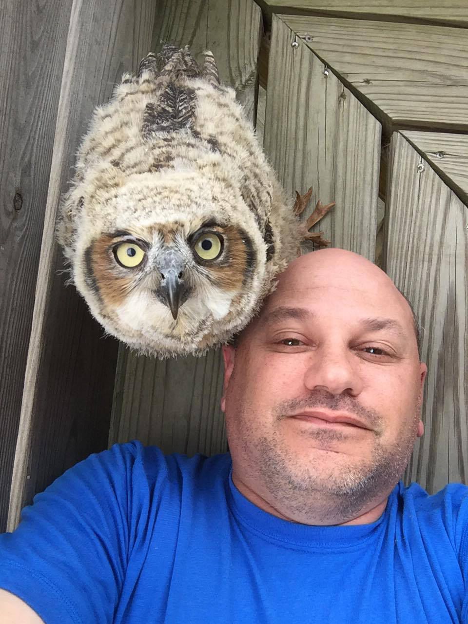 Illinois raptor center