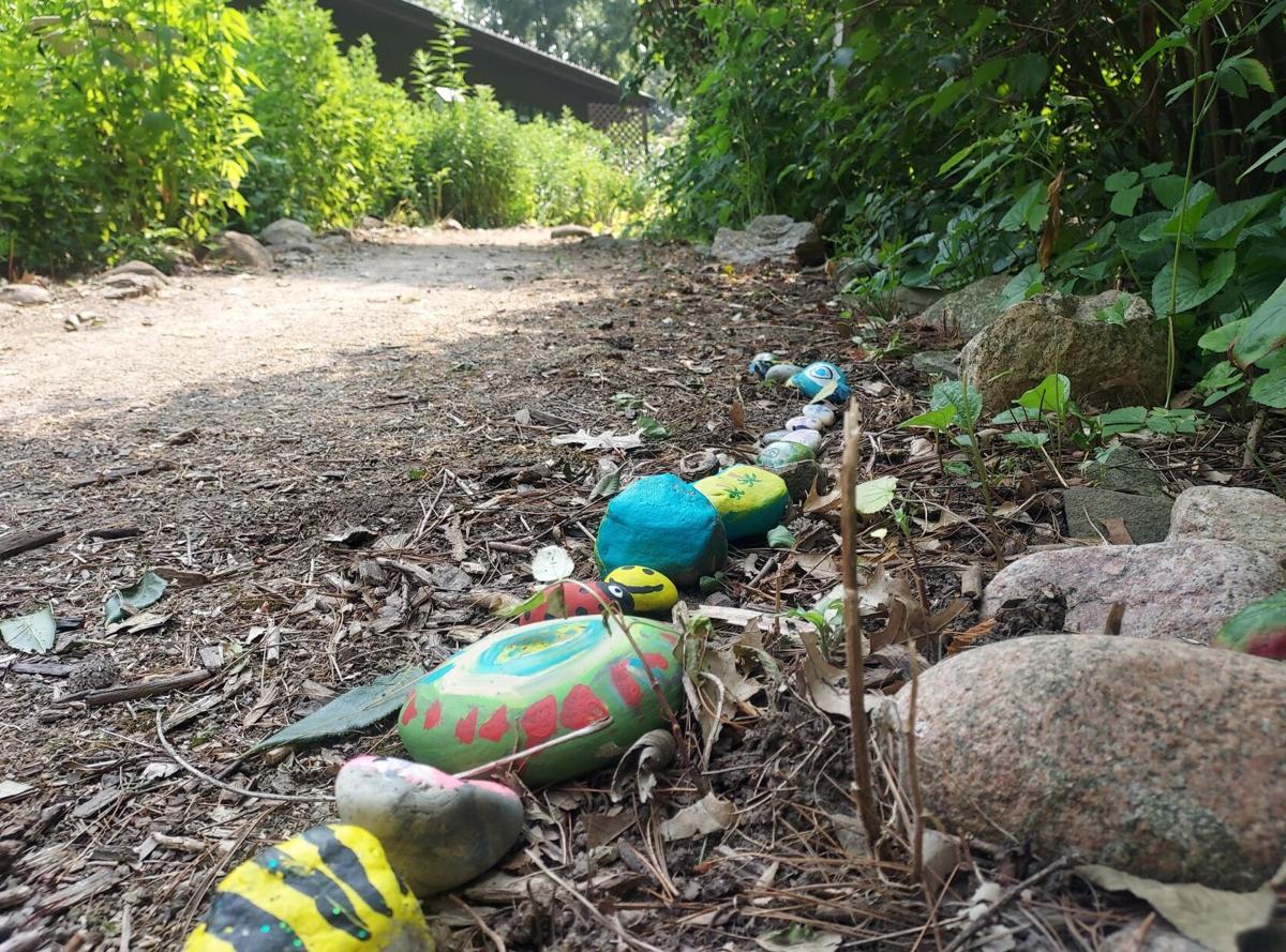 Roscoe the rock snake grows along the pathway at Douglas-Hart