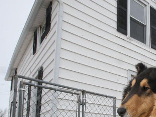 Mystic Collies Outlook Play Herald Review Com