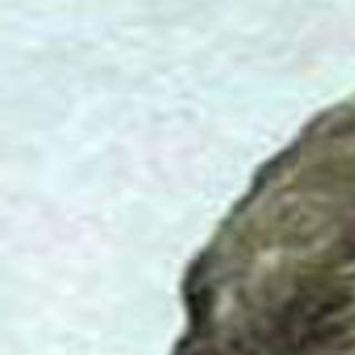 Lee Ann Winkleblack Beane Obituaries Herald Review Com Lee ann womack | news, new music, songs, and videos. lee ann winkleblack beane