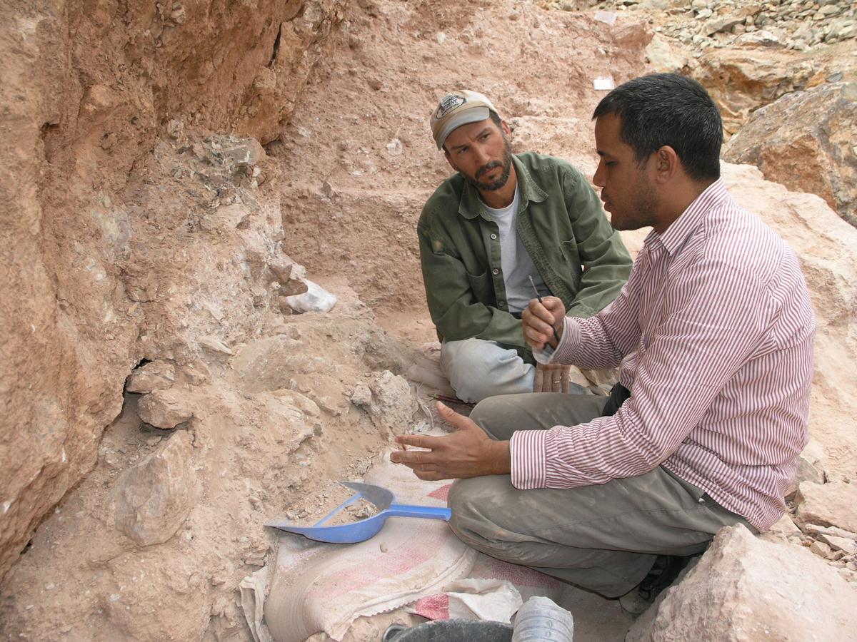 Earliest Fossil Evidence Of Homo Sapiens Found In Morocco Science Herald 8519