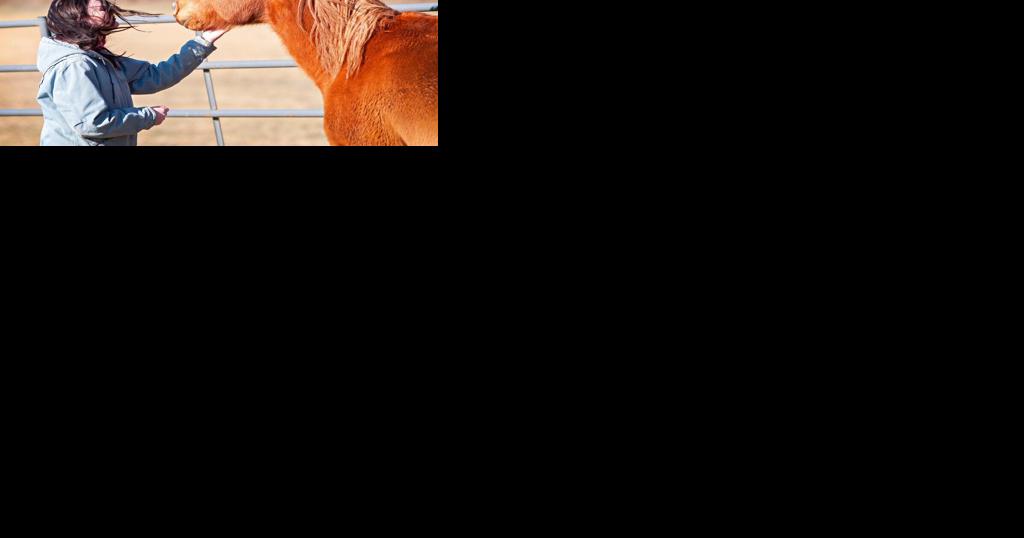 Illinois teen turns 'untouchable' horse into barrel racer - Vimarsana News