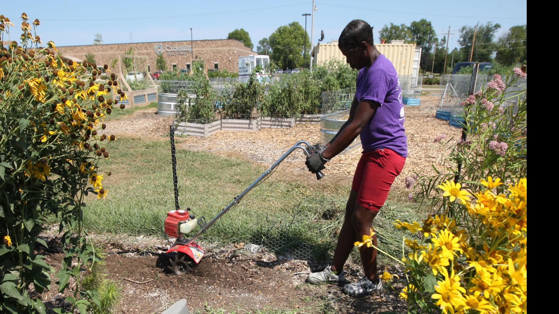 Growing From A Garden Program Providing Jobs Healthy Food For Those In Need Local Herald Review Com