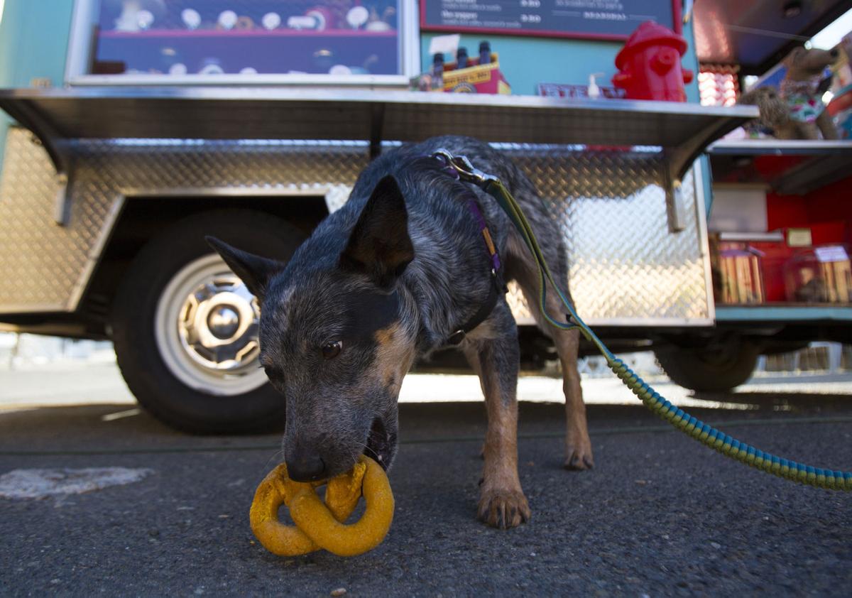 The Seattle Barkery Is A Food Truck For Dogs Yes Really Herald Review Com