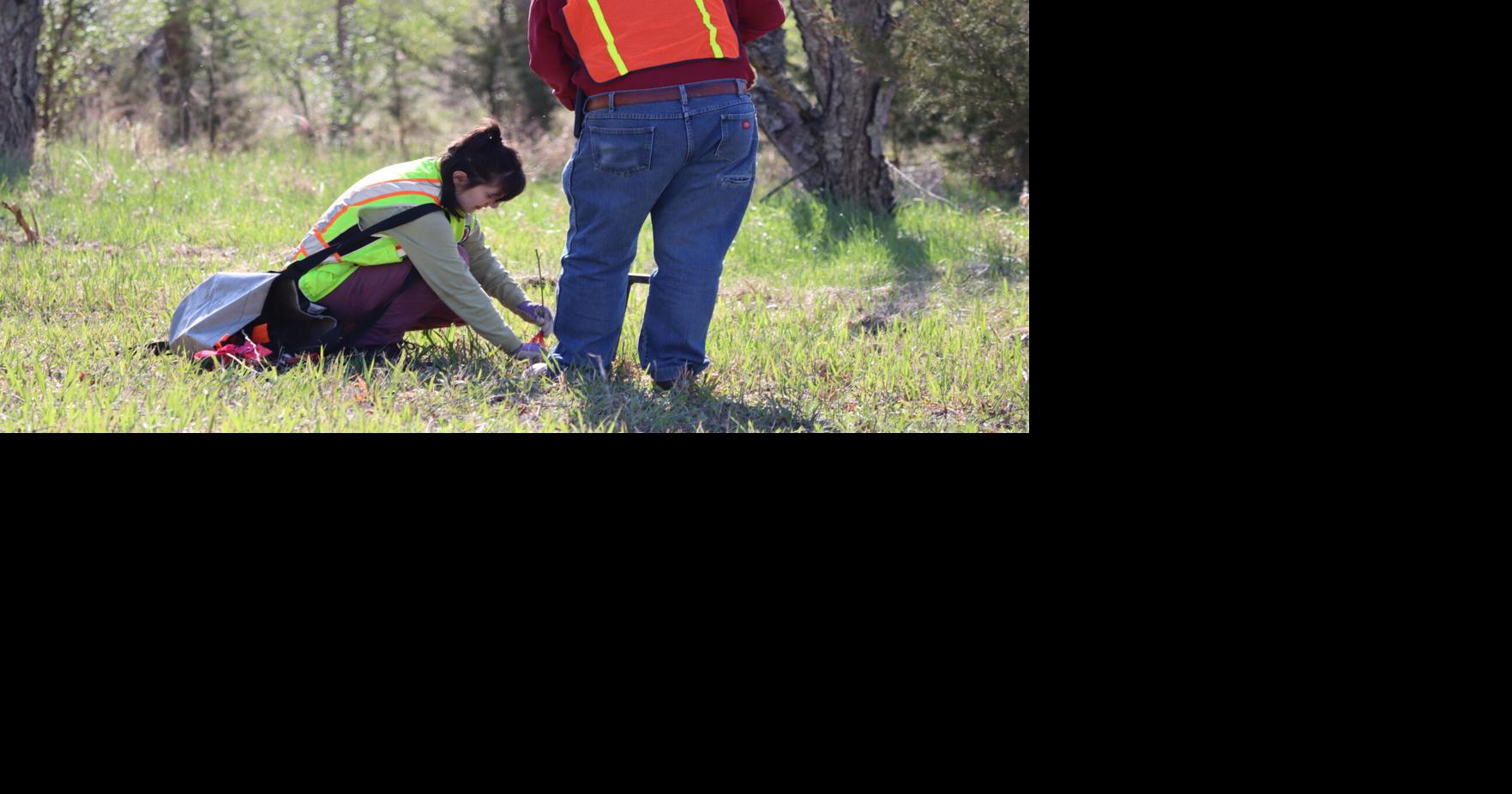 Tree planting workday Friday, May 22, 2026